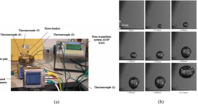 Fig. 2 – (a) Experimental apparatus. (b) Experimental studies for comparison. 