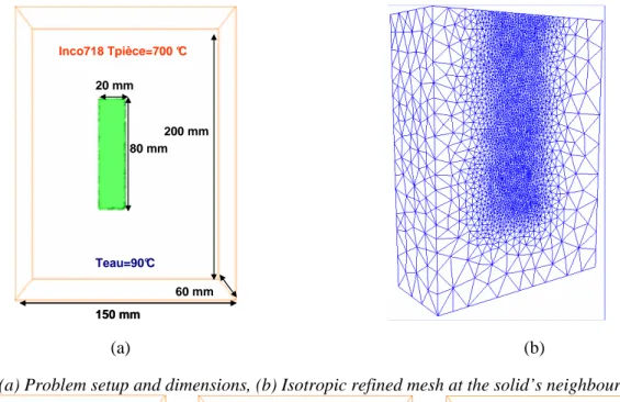 Fig. 4 – (a) Problem setup and dimensions, (b) Isotropic refined mesh at the solid’s neighbourhood  