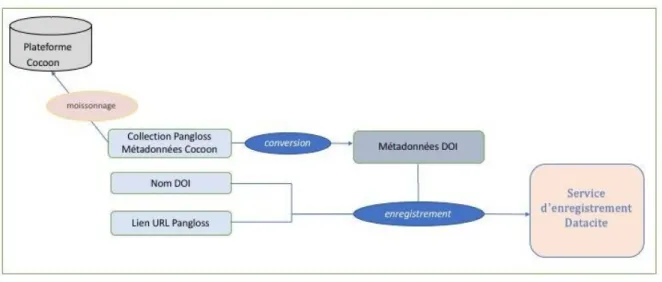 Figure 2. Chaîne de traitement dans la création des DOI pour la Collection Pangloss. 