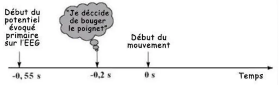 Figure 1 : expérience de Libet, résultats (Blutner, 2018) 