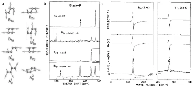 Figure 1.2: Phonons actifs dans le phosphore noir. a, Mouvement relatif des modes de phonons actifs en infrarouge (B 1u et B 2u ) et en Raman (B 1g , B 2 3g , B 1 3g , B 2g , A 1g et A 2g )