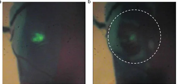Figure 1.7: a, Photographie optique d’une couche mince de phosphore noir (environ 10 nm) mise sous l’objectif du montage Raman avant d’être excitée