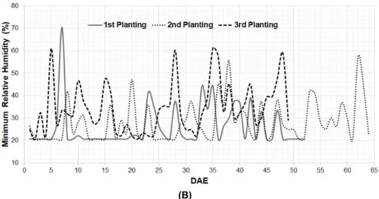 Fig. 2. Maximum (A) and minimum relative humidity (B), inside the greenhouse, in the  production of cacao tree seedlings, in the different growing seasons in Colatina/ES, 2017 