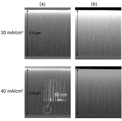 Figure  3:  Cross  sectional  SEM  images  of  (a)  as  prepared  PS  layer  and  (b)  after  partial  oxidation  step  for  the  studied  anodization  current  densities  of  30  mA/cm²  and  40  mA/cm²  respectively