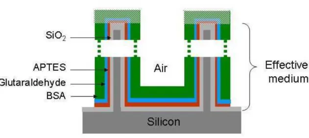 Figure  1:  Schematic  of  a  functionalized  partially  oxidized  PS  layer.  The  volume  fraction  of  molecules  which  is  deposited  on  the  top  partially  oxidized  silicon  crystallites  surface  is  not  taken into consideration in the model of 