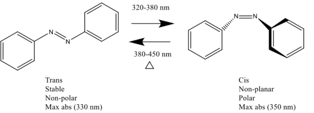 Figure 1.3: The photoisomerization reaction of trans azobenzene into cis azobenzene under UV  light  irradiation  as  well  as  reverse  isomerization  from  the  cis  to  trans  isomer  occurring  by  heating or irradiation with visible light