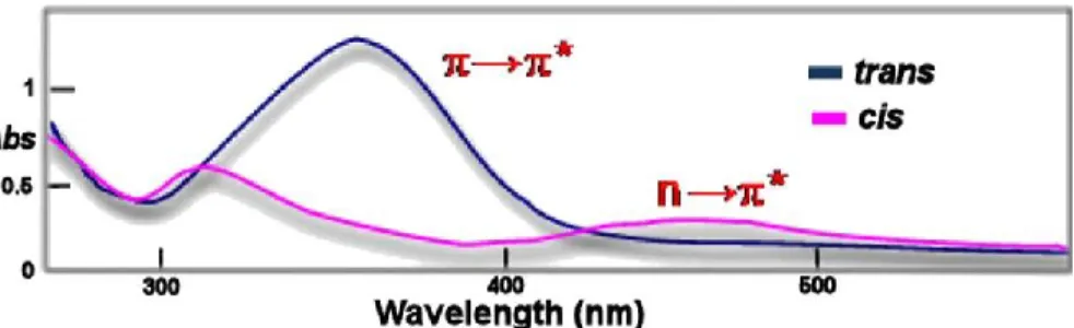 Figure  1.5:  Absorption  spectra  an  azobenzene  type  molecule  demonstrating  the  (π,π*)  absorption band of the trans isomer and the (n,π*) absorption band of the cis isomer