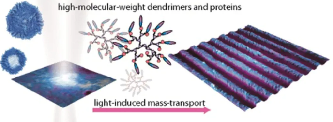 Figure  1.7:  Schematic  representation  of  the  formation  of  a  surface  relief  grating  by  light- light-induced  mass-transport  using  azo-functionalized  triazine  dendrimers  and  proteins  of  high  molecular  weight