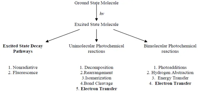 Figure I-1. Excited state decay routes available to a molecule in solution. 15