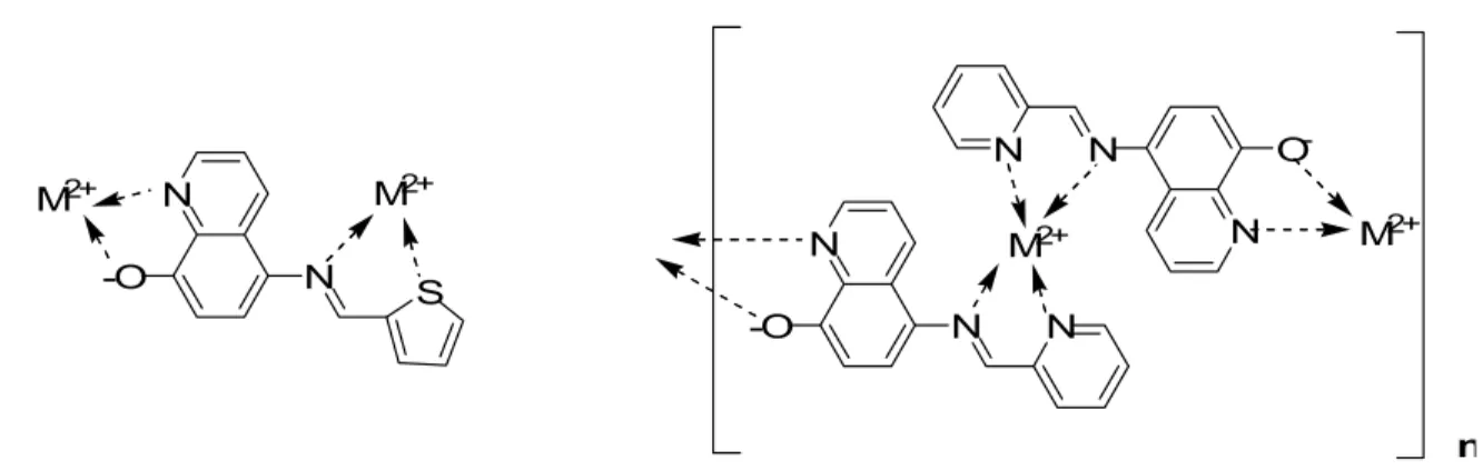 Figure 2-2. An example of the possible chelation modes of ligand L 4  (left). An example  of a coordination polymer, a supramolecular structure formed by metal coordination with  a multi-dentate ligand (right).