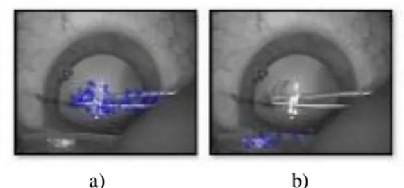 Fig.  4.  SURF  features  detected  on  image  from  Fig.  3-a.,  and  shown  as  blue  circles