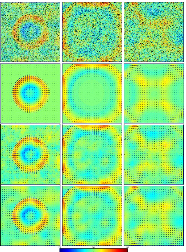 Figure 3. Comparisons of elevation colormaps in millimeters and of free-surface motion vector fields, for the water column collapse