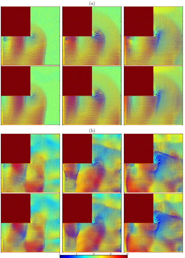 Figure 8. Comparisons of elevation colormaps in millimeters and of free-surface motion vector fields, for the suddenly expanding flume flow with half-bell shape inlet velocity profile: (a) without stochastic forcing; (b) with stochastic forcing; Top row, e