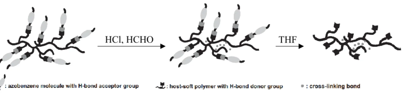 Figure 1.3. Schematic illustration of a hydrogen-bonded (H-bond) supramolecular polymer film  and the selective detachment of chromophore units from the SRG-inscribed films