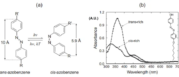 Figure 1.10. (a) Trans-cis photoisomerization reaction of azobenzene. (b) Absorption spectra of  thin films of the trans-rich and cis-rich states of 4-(4-heptyloxyphenyl)azophenol, shown in the  inset, before and after irradiating with light