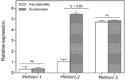 Figure 2.  Relative expression profile of PMWaV -1, PMWaV-2, and PMWaV-3 in asymptomatic  and symptomatic pineapple plants