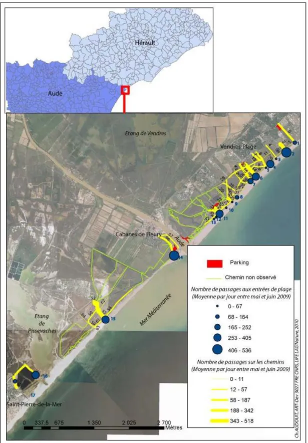 Figure 21 : Moyenne des passages  par jour pendant les quatre jours d’observation en mai et juin  2009 sur la plage de Vendres