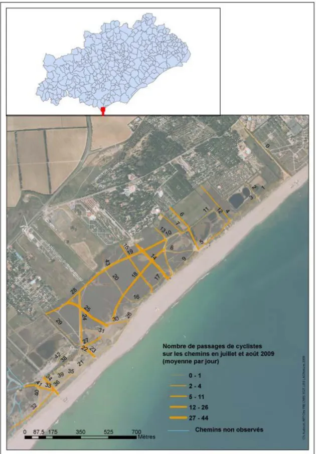 Figure 23 : Moyenne journalière des passages des cyclistes en juillet et août 2009 sur la plage de  Vendres 