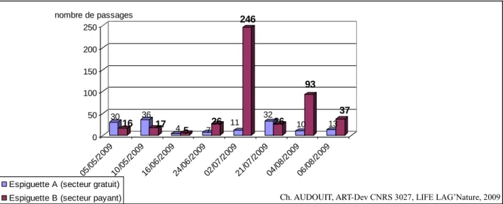 Figure 9 : Nombre de passages sur l’Espiguette A et B sur huit jours d’observation en 2009 
