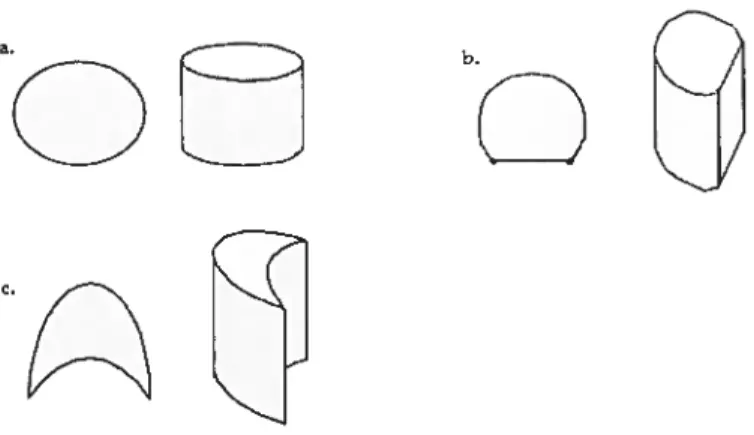 Figure 5: Representation of the three petiolar shapes: a. round to elliptic in section, b