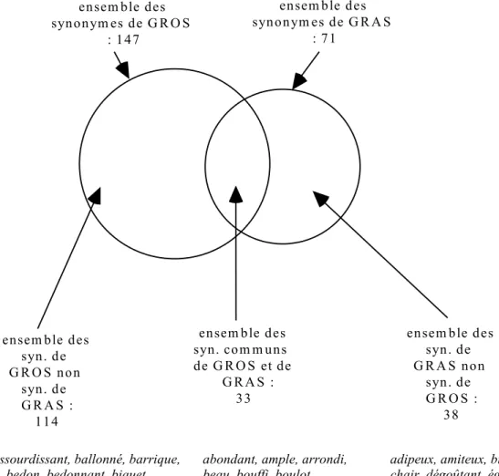 Figure 1. L’espace sémantique commun aux deux listes des synonymes de gros et gras  fournies par le DES 