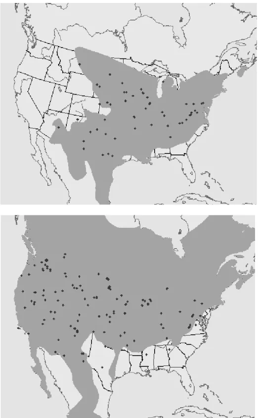 Figure 1.3.  Distribution géographique (zone grise) de Peromyscus leucopus (en haut) et de  Peromyscus maniculatus (en bas), les points sur les cartes représentent les mentions des 