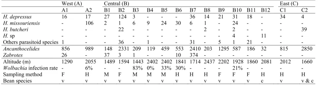 Table 2.1: Sample sizes of Horismenus parasitoid and bruchid populations, proportion of parasitoids infected with Wolbachia spp., and  abundance of other parasitoid species and the two genera of bruchids (Acanthoscelides and Zabrotes)