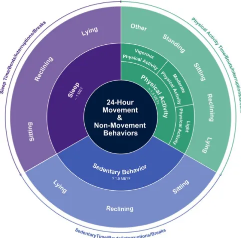 Figure 1. Conceptual model of movement-based terminology based on a 24-hour period (23)