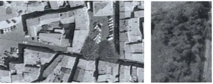figure  8.4. 1: deux  images en niveau de gris,  Valreas  et Erquy,  (résolution  45  centimètres) 