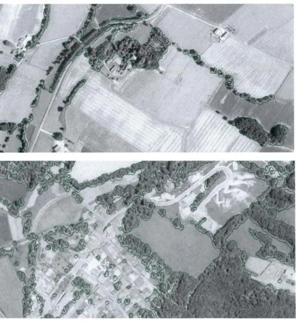 figure  8.4. 7  :  détection  des  arbres  sur image  aérienne de paysage  rural 