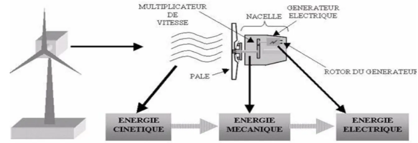 Figure I.7: Conversion de l'énergie cinétique du vent [9] 