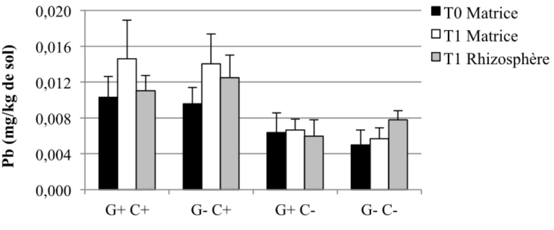 Figure 4-3: Concentrations moyennes et écarts-types de Pb extrait à l’H 2 O dans les sols pour  les quatre traitements (n=6 pots par traitement, sauf n= 5 pour G+ C-) 