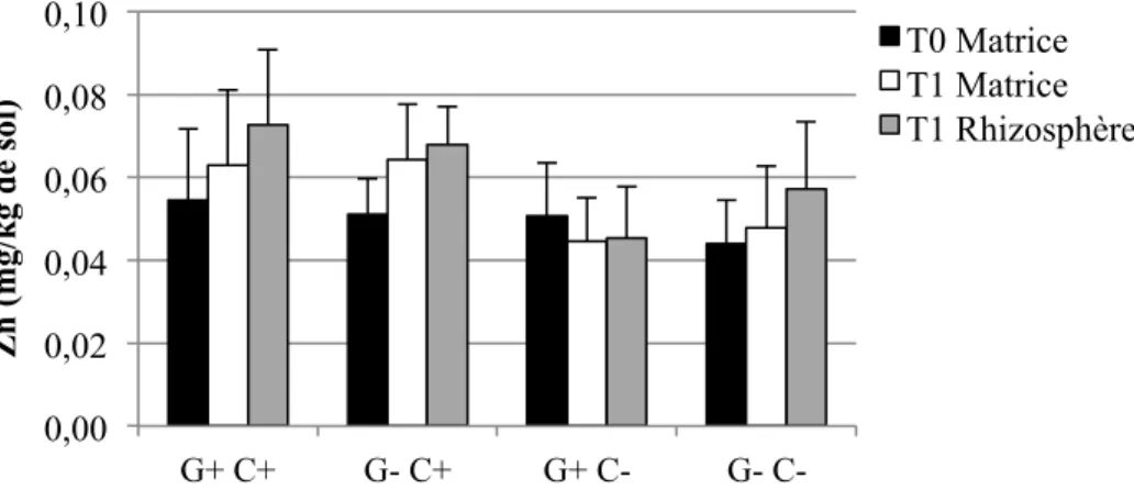 Figure 4-4: Concentrations moyennes et écarts-types de Zn extrait à l’H 2 O dans les sols pour  les quatre traitements (n=6 pots par traitement, sauf n= 5 pour G+ C-) 