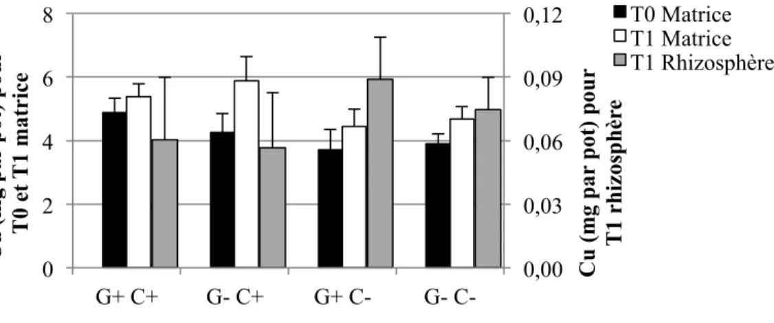 Figure 4-6: Quantités moyennes et écarts-types de Cu extrait à l’H 2 O dans les sols pour les  quatre traitements (n=6 pots par traitement, sauf n= 5 pour G+ C-) 