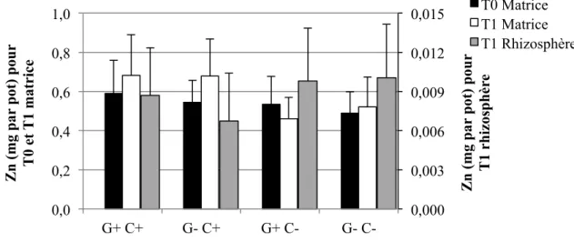 Figure 4-8: Quantités moyennes et écarts-types de Zn extrait à l’H 2 O dans les sols pour les  quatre traitements (n=6 pots par traitement, sauf n= 5 pour G+ C-) 