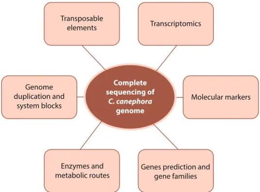 Figure 1. Information and study areas resulting from complete coffee sequencing.