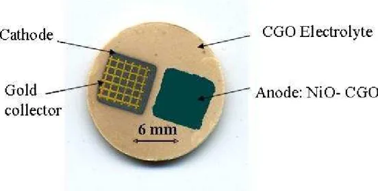 Fig. 1 SCFC prototype on GDC pellet with screen-printed electrodes.  