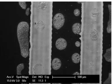 Fig. 5. SEM micrograph of the sensor. The two grey parallel lines correspond to the gold  electrodes and the grey dots correspond to SnO 2  accumulation