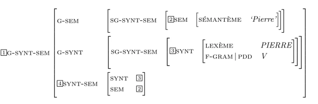 Fig. 47 – La grammaire de correspondance GP synt −sem : les entrées Pierre et pomme.