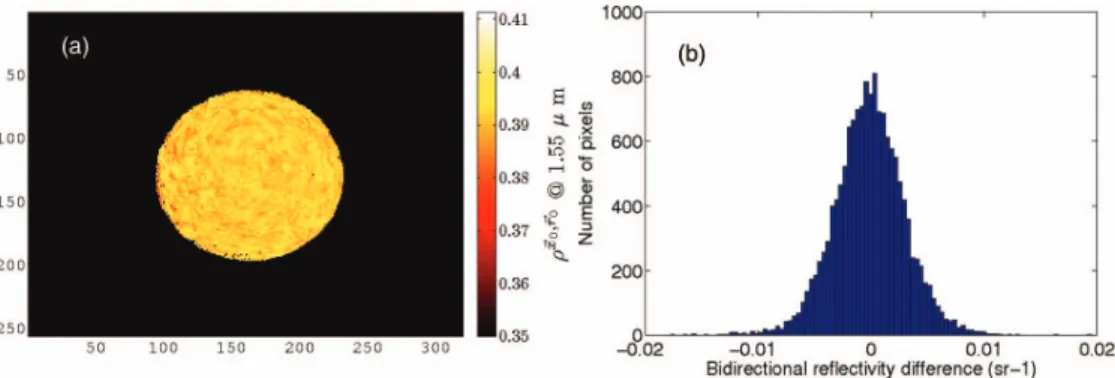 FIG. 9. Image of bidirectional reflectivities (a) and histogram of differences between estimated and real bidirectional reflectivities (b) for λ = 1.550 µm.