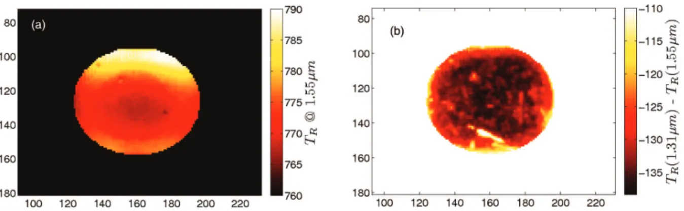FIG. 14. Field measurement of radiance temperatures at λ 2 (a) and image of the difference of radiance temperature ﬁelds for both wavelengths (b).