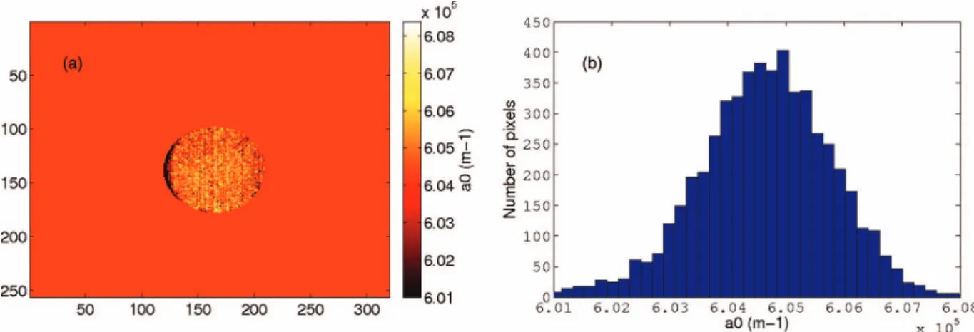 FIG. 6. Images (a) and associated histogram (b) of parameter a 0 of Eq. (15) for a filter centered at a wavelength of 1.550 µm and with a bandwidth of 50 nm.