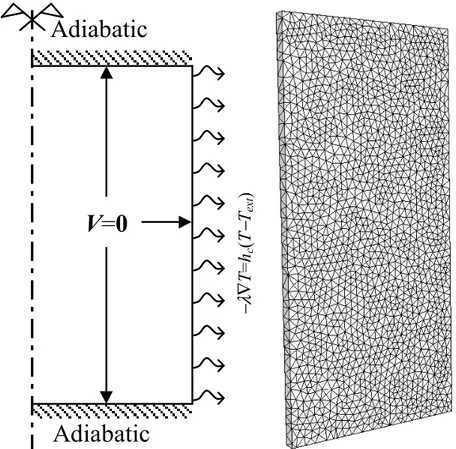 Fig. 7. Thermal conditions for the macrosegregation test problem and 3D finite-element mesh
