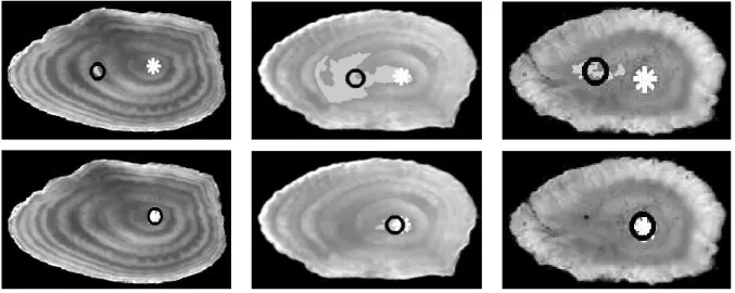 Figure 7: Refinement of the detection of the nucleus: the first row displays examples of misdetections using criterion (8) based on geometrical and photometric features; the second row reports the results obtained for same otoliths by the two-pass scheme u
