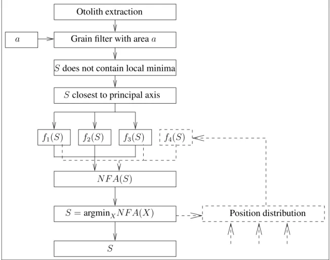 Figure 2: Diagram of the nucleus detection algorithm. The first step is the otolith extraction