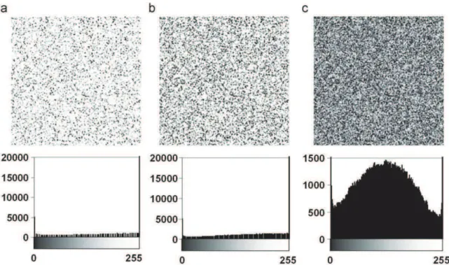 Fig. 3. Reference images for the 3 sets and grey-level histogram. (a) high saturated set, (b) saturated set and (c) standard set).