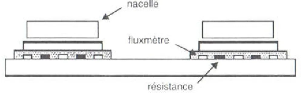 Figure IV.4 : D.S.C à compensation (Documentation Seiko ) 