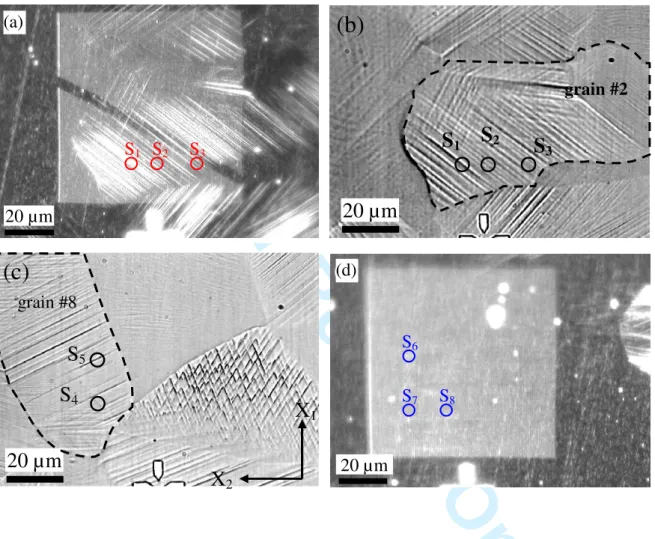 Fig. 7. (a) Dark field optical image and (b) optical image of the grain #2 reported in Fig