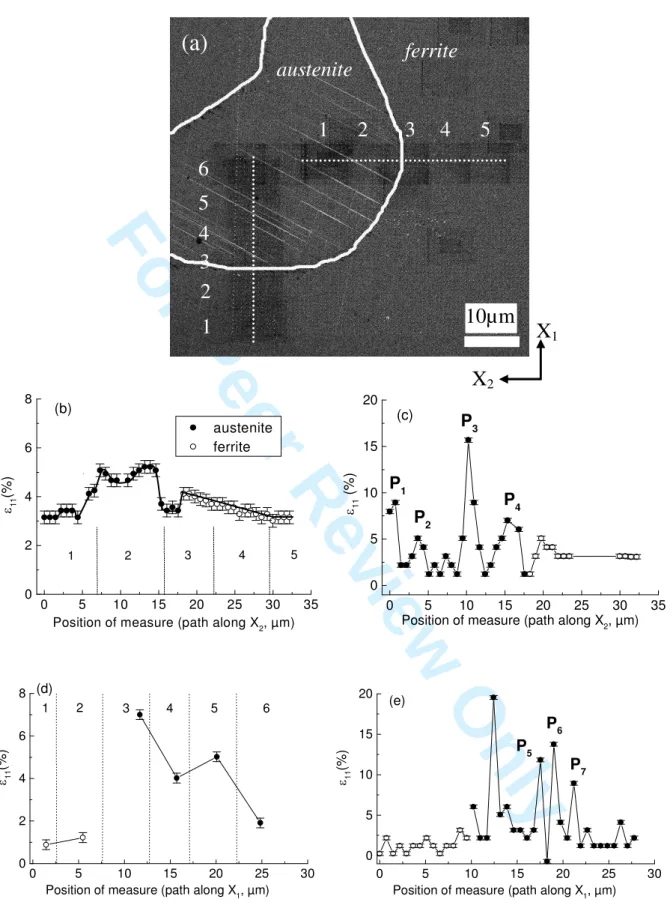 Fig. 11. (a) FE-SEM micrograph of the microstructure where the mechanical analysis was performed along the  two  dotted  lines