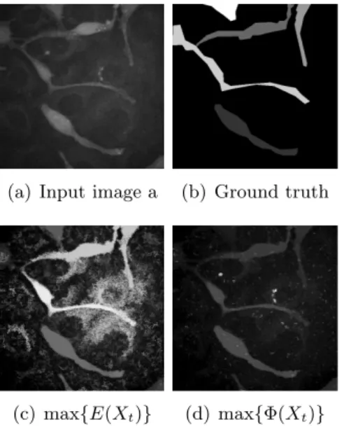 Figure 8: Feature images using the global maximum in the attribute profile.